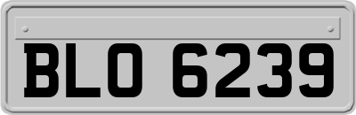 BLO6239