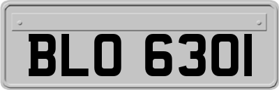 BLO6301