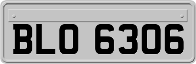 BLO6306