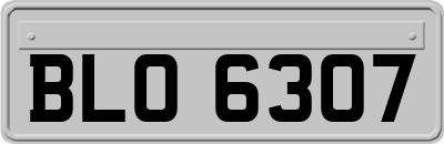 BLO6307