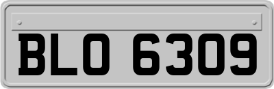 BLO6309