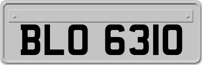 BLO6310