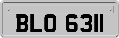 BLO6311