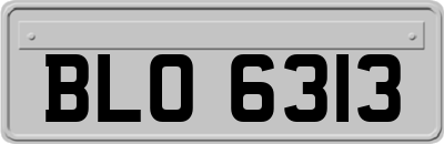 BLO6313