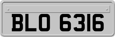 BLO6316