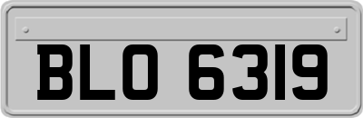BLO6319