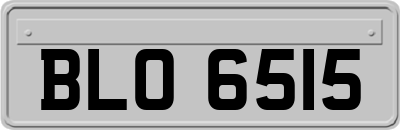 BLO6515