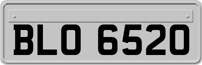 BLO6520