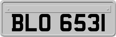 BLO6531