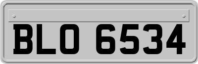 BLO6534