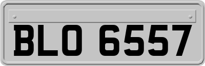 BLO6557