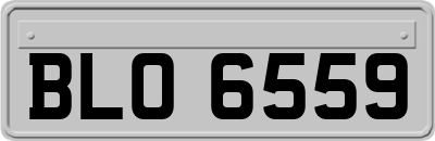 BLO6559