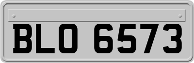 BLO6573