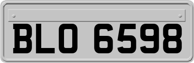 BLO6598