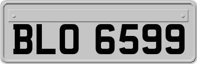 BLO6599