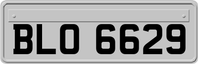 BLO6629