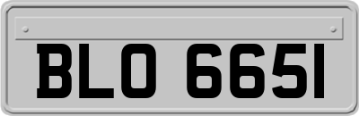 BLO6651