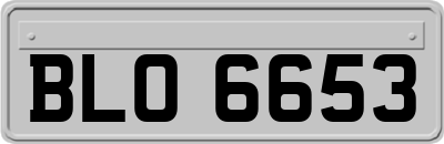 BLO6653