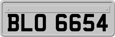 BLO6654