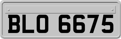 BLO6675