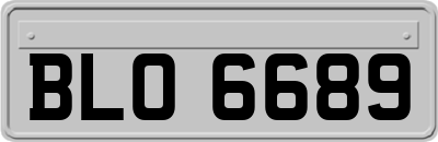 BLO6689