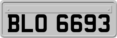 BLO6693