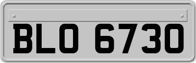 BLO6730