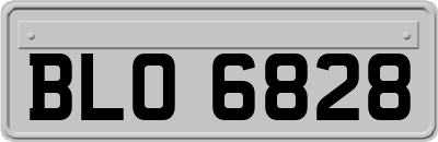 BLO6828