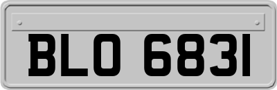 BLO6831