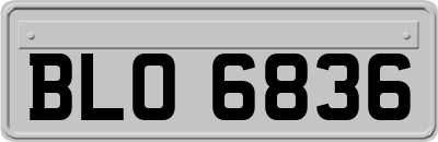 BLO6836