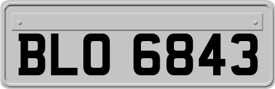 BLO6843