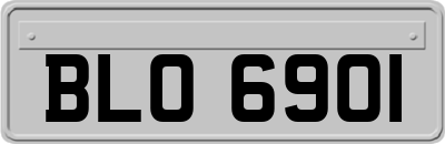 BLO6901