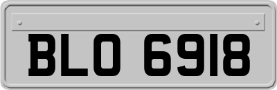 BLO6918