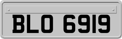 BLO6919