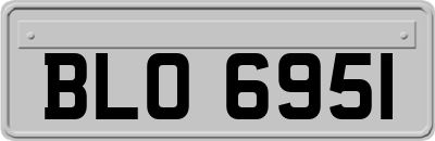 BLO6951