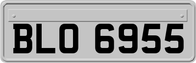 BLO6955