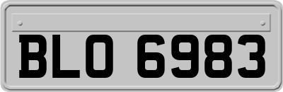 BLO6983