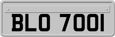 BLO7001