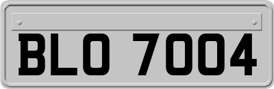 BLO7004