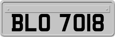 BLO7018