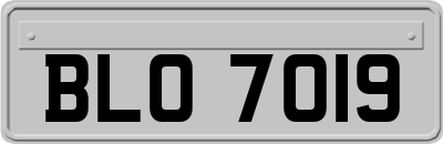 BLO7019