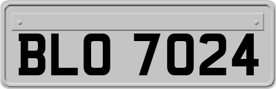 BLO7024