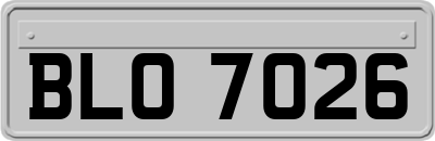 BLO7026