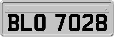 BLO7028