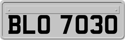 BLO7030