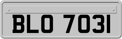 BLO7031