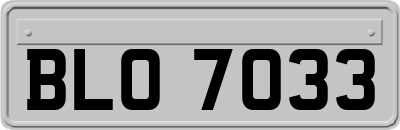 BLO7033