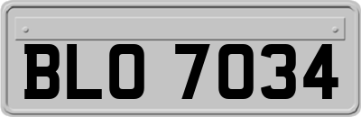 BLO7034