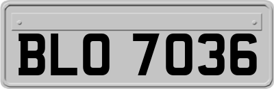 BLO7036
