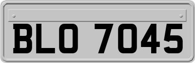 BLO7045